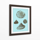 Conchas Teñidas En Aqua Iv - Vision Studio | Cuadro decorativo de Canvas Lab