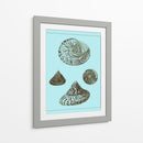 Conchas Teñidas En Aqua Iv - Vision Studio | Cuadro decorativo de Canvas Lab