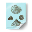 Conchas Teñidas En Aqua Iv - Vision Studio | Cuadro decorativo de Canvas Lab