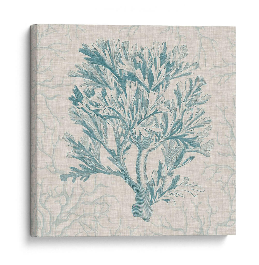 Motivo De Coral I - Vision Studio | Cuadro decorativo de Canvas Lab