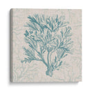 Motivo De Coral I - Vision Studio | Cuadro decorativo de Canvas Lab