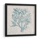 Motivo De Coral I - Vision Studio | Cuadro decorativo de Canvas Lab