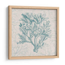 Motivo De Coral I - Vision Studio | Cuadro decorativo de Canvas Lab