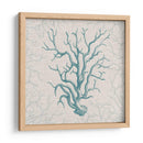 Coral Motif Ii - Vision Studio | Cuadro decorativo de Canvas Lab