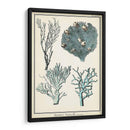 Especies De Coral De Gran Tamaño Ii - Vision Studio | Cuadro decorativo de Canvas Lab