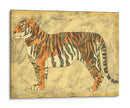 Tigre Real - Chariklia Zarris | Cuadro decorativo de Canvas Lab