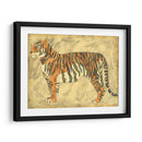Tigre Real - Chariklia Zarris | Cuadro decorativo de Canvas Lab