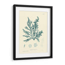 Impresión Natural En Aqua I - Vision Studio | Cuadro decorativo de Canvas Lab