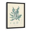 Impresión Natural En Aqua I - Vision Studio | Cuadro decorativo de Canvas Lab