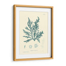 Impresión Natural En Aqua I - Vision Studio | Cuadro decorativo de Canvas Lab