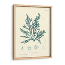 Impresión Natural En Aqua I - Vision Studio | Cuadro decorativo de Canvas Lab