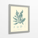 Impresión Natural En Aqua I - Vision Studio | Cuadro decorativo de Canvas Lab