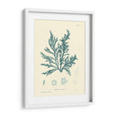 Impresión Natural En Aqua I - Vision Studio | Cuadro decorativo de Canvas Lab