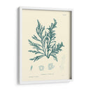 Impresión Natural En Aqua I - Vision Studio | Cuadro decorativo de Canvas Lab