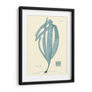 Impresión Natural En Aqua Ii - Vision Studio | Cuadro decorativo de Canvas Lab