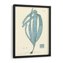 Impresión Natural En Aqua Ii - Vision Studio | Cuadro decorativo de Canvas Lab