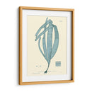 Impresión Natural En Aqua Ii - Vision Studio | Cuadro decorativo de Canvas Lab