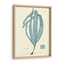 Impresión Natural En Aqua Ii - Vision Studio | Cuadro decorativo de Canvas Lab