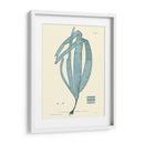 Impresión Natural En Aqua Ii - Vision Studio | Cuadro decorativo de Canvas Lab