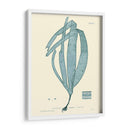 Impresión Natural En Aqua Ii - Vision Studio | Cuadro decorativo de Canvas Lab