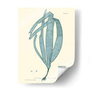 Impresión Natural En Aqua Ii - Vision Studio | Cuadro decorativo de Canvas Lab