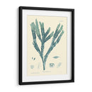 Impresión Natural En Aqua Iii - Vision Studio | Cuadro decorativo de Canvas Lab