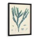 Impresión Natural En Aqua Iii - Vision Studio | Cuadro decorativo de Canvas Lab