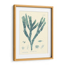 Impresión Natural En Aqua Iii - Vision Studio | Cuadro decorativo de Canvas Lab