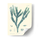 Impresión Natural En Aqua Iii - Vision Studio | Cuadro decorativo de Canvas Lab