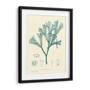 Impresión Natural En Aqua Iv - Vision Studio | Cuadro decorativo de Canvas Lab