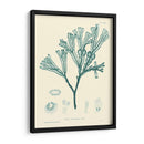 Impresión Natural En Aqua Iv - Vision Studio | Cuadro decorativo de Canvas Lab