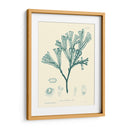 Impresión Natural En Aqua Iv - Vision Studio | Cuadro decorativo de Canvas Lab