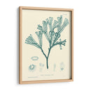 Impresión Natural En Aqua Iv - Vision Studio | Cuadro decorativo de Canvas Lab