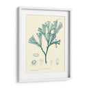 Impresión Natural En Aqua Iv - Vision Studio | Cuadro decorativo de Canvas Lab