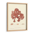 Impresión Natural En Coral I - Vision Studio | Cuadro decorativo de Canvas Lab