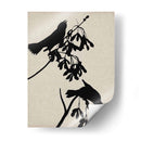 Audubon Silhouette Vi - Vision Studio | Cuadro decorativo de Canvas Lab