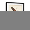 Faisanes Regales I - George Edwards | Cuadro decorativo de Canvas Lab