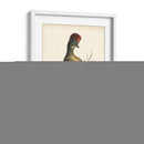 Regal Faisanes Iv - George Edwards | Cuadro decorativo de Canvas Lab