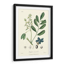Follaje Woodland I - Weddell | Cuadro decorativo de Canvas Lab