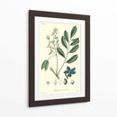 Follaje Woodland I - Weddell | Cuadro decorativo de Canvas Lab
