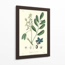 Follaje Woodland I - Weddell | Cuadro decorativo de Canvas Lab
