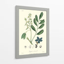 Follaje Woodland I - Weddell | Cuadro decorativo de Canvas Lab