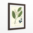 Woodland Follaje Ii - Weddell | Cuadro decorativo de Canvas Lab