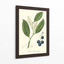 Woodland Follaje Ii - Weddell | Cuadro decorativo de Canvas Lab