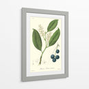 Woodland Follaje Ii - Weddell | Cuadro decorativo de Canvas Lab
