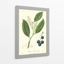 Woodland Follaje Ii - Weddell | Cuadro decorativo de Canvas Lab