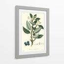 Follaje De Bosque Iii - Weddell | Cuadro decorativo de Canvas Lab