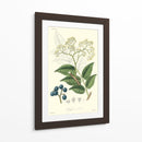 Follaje Woodland Iv - Weddell | Cuadro decorativo de Canvas Lab