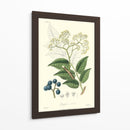 Follaje Woodland Iv - Weddell | Cuadro decorativo de Canvas Lab