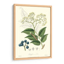 Follaje Woodland Iv - Weddell | Cuadro decorativo de Canvas Lab